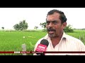 agriculture bills पर narendra modi सरकार से farmers की नाराज़गी ख़त्म क्यों नहीं हो रही bbc hindi