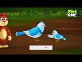 അഭിമാന പക്ഷി proud bird malayalam cartoon malayalam fairy tales