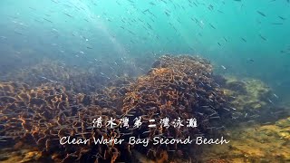 香港浮潛勝地/清水灣第二灣泳灘 - Beautiful snorkeling spots in Hong Kong/Clear Water Bay Second Beach