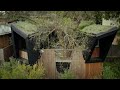 Architect Designs a Sustainable Tree Home Made From Recycled Materials (House Tour)