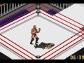 【gba】ファイプロ fire pro wrestling 2 the rock vs roman reigns