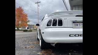 1997 Mustang Cobra 