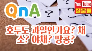 호두도 과일인가요? 채소? 야채? 땅콩?