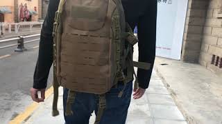 2 day designed dragon egg tactical backpack