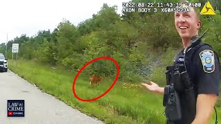 Bodycam Shows Ohio Police Encountering 'Zombie Deer'