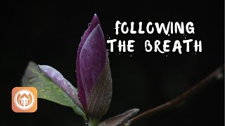 Following the Breath | Sister Dang Nghiem