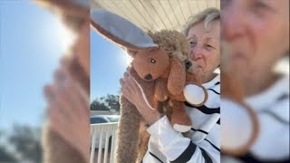 Video shows moments before Publix fatal crash, community mourns cherished neighbor