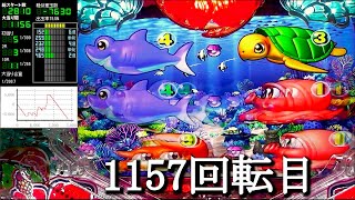 Pスーパー海物語IN沖縄5【沖海5】パチンコライブ配信 海物語ライブ生配信 こあげホール実践実機配信 『こあげ ++389 海物語Live』