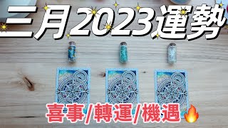 塔羅占卜🔮 三月2023 妳會遇到的爆炸性好消息是什麼呢？財富💰？感情❤️？學業📖？名望🔥？