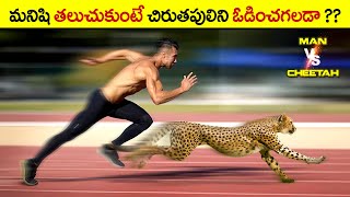 🔵 మనిషి, చిరుత ని ఓడించగలడా | why cheetah run so fast | man vs cheetah in telugu | virinchi facts