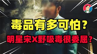 吸毒明星无辜？宋X野喊冤？致幻失禁，毒品到底有可怕?【牛顿】