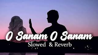 O Sanam O Sanam kash hota Ager l slow and Reverb song l Reverb World