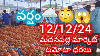 12-12-24 Madanapalle Tomato Market price Today || Today Tomato Market Rate in Madanapalle #today