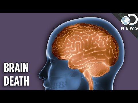 Can you hear when you are brain-dead?