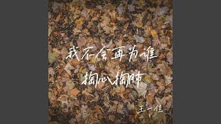 我不会再为谁掏心掏肺 (Remix版)