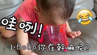 Bo媽日記 我最愛喝水水啦！（8M25D學手拿杯杯喝水)