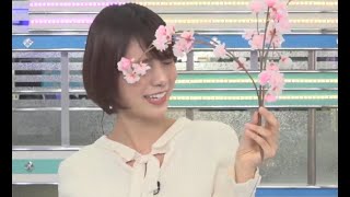 【かわいい】🌸春満開が顔に当たる😣【タンブラーガチ狙い】【戸北美月】2022年4月9日