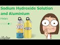 💯 √ Balance the equation for the reaction between sodium hydroxide solution and aluminium