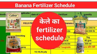 kele ki kheti। banana farming। full fertilizer schedule। फर्टिलाइजर शेड्यूल।