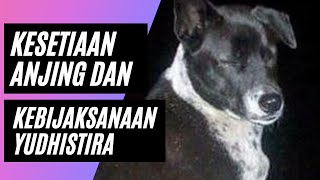 Kisah Kesetiaan Anjing Dan Kebijaksanaan Yudhistira