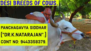 Desi Breeds of Cows | Native Cow Breeds | Panchagavya Siddhar Dr.K. Natarajan.