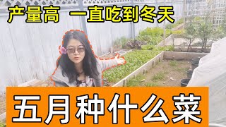 5月种什么蔬菜? 种这些菜一直吃到冬天 What vegetables to grow in May