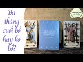 Ba tháng cuối có bồ hay không bồ? {bồ là người yêu nhen} | Chọn 1 tụ bài | Xem tarot