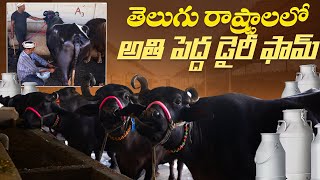 successful diary Farm ￼in telugu | తెలుగు రాష్ట్రాలలో అతి పెద్ద డైరీ ఫామ్ | karshakavani