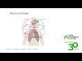 live well breathe better pulmonary arterial hypertension breathlessness in pah and scleroderma