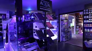 Octopus 8 aquatics Shop Tour