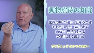 動物虐待の知覚【デイヴィッド・ホフマイスター】奇跡講座/奇跡のコース/ACIM