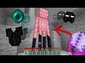 Minecraft, But You Can Shear Any Mob...