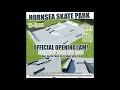 hornsea skate park by sally brown