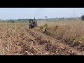 ep28 tractor plowing cassava from the ground