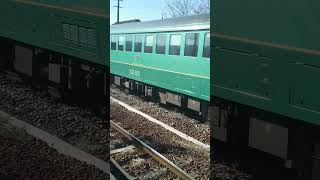 久大本線 善導寺駅を通過していく「キハ72系 8005D 特急ゆふいんの森5号 由布院行き」#ゆふいんの森 #キハ72系 #善導寺駅