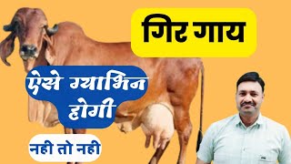 गिर गाय ऐसे ही ग्याभिन होगी 100 % Ramawat