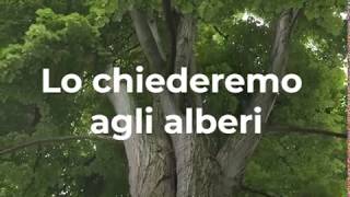 Lo chiederemo agli alberi