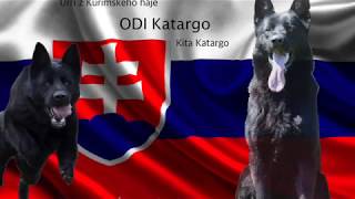 Odi Katargo