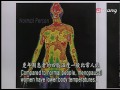 modern eastern medicine ep59 oriental medical treatmetn for climacteric syndrome 갱년기 장애