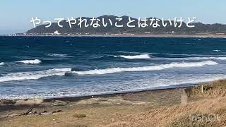 オンショアでございます♪ 平砂浦波情報