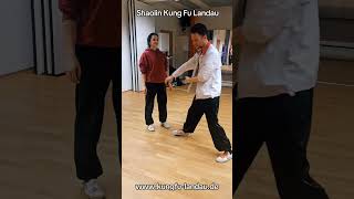 Shaolin Kung Fu Landau: rollende Brücke 2