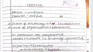 Phylum protozoa - CEE based short explanation - only at OLI