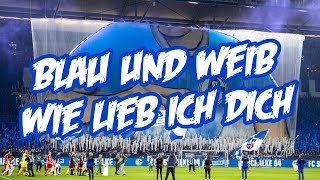 FC Schalke 04 Hymne / Anthem : Blau und weiß wie lieb ich dich🔵⚪️