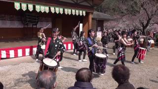 武蔵越生高校和太鼓部「青龍」山の夜明け～フェスタ　越生梅林梅まつり　2017.03.12