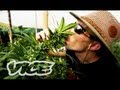 Kings of Cannabis: Part 1/3 (Documentary)