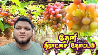 தேனி திராட்சை தோட்டம் | Kutralam Vlog | Budget tour | Ep - 02 | Naanum Vlogger