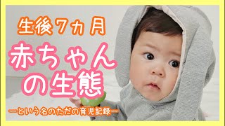 【生後7か月】赤ちゃんの生態！お友達初登場★