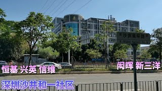 深圳沙井蚝一优质厂好多，承载了无数打工人的回忆，大家还熟悉吗