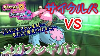 【ポケモンUSUM】超強力サイクルパVSメガフシギバナ！【ウルトラサン/ウルトラムーン】