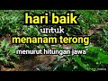 hari baik untuk menanam terong menurut hitungan jawa